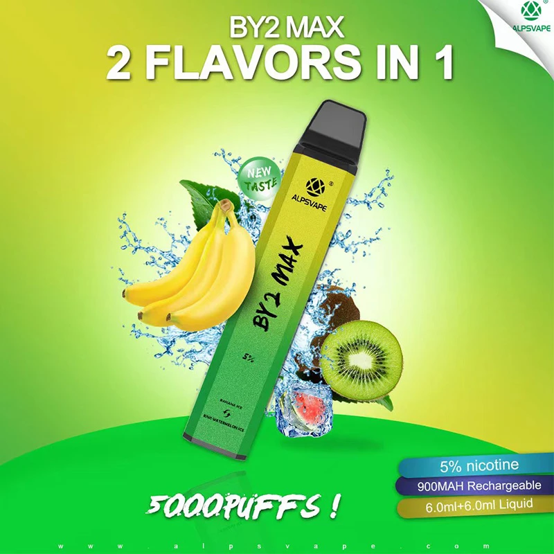 ALPSVAPE BY2 MAX 5000 electronic cigarette disposable vape 5