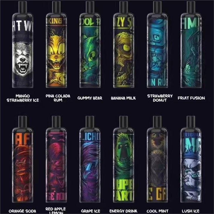 Energi 5000 Puff Rechargeable Mesh Coil Disposable Vape