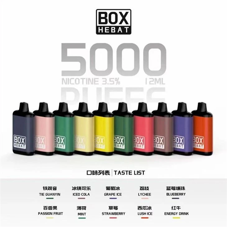 Hebat Box 5000 Puffs Disposable Vape