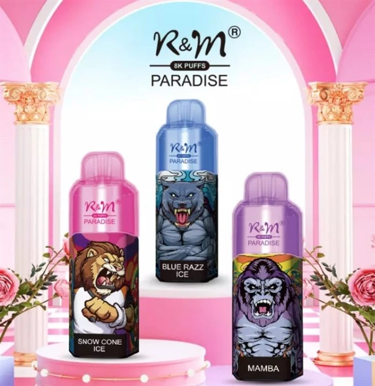 R&M PARADISE vape 8000puffs