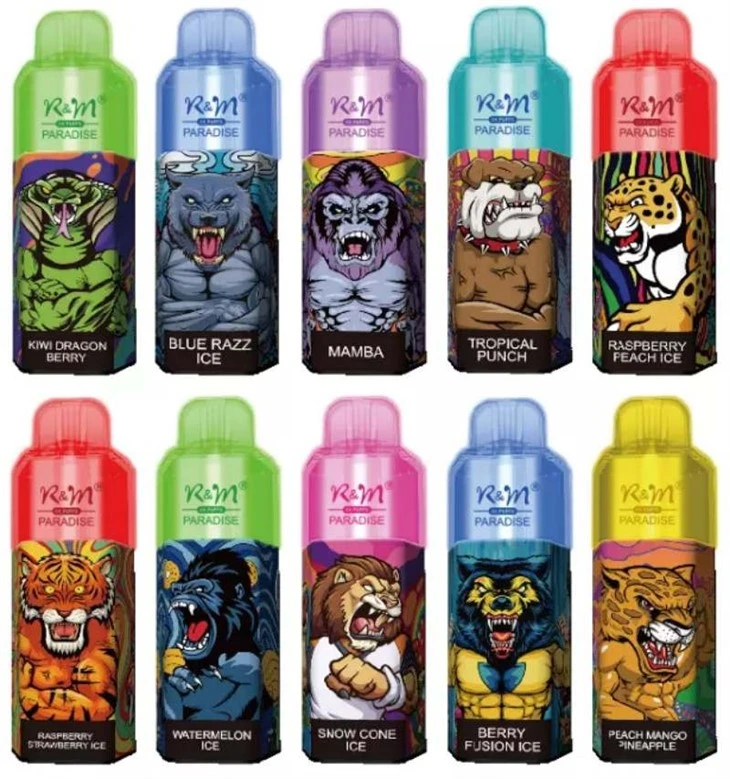 R&M PARADISE 8000 vape