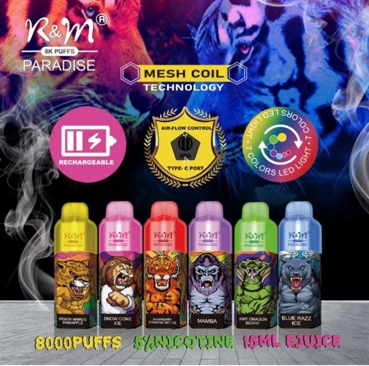 R&M PARADISE 8000 puff