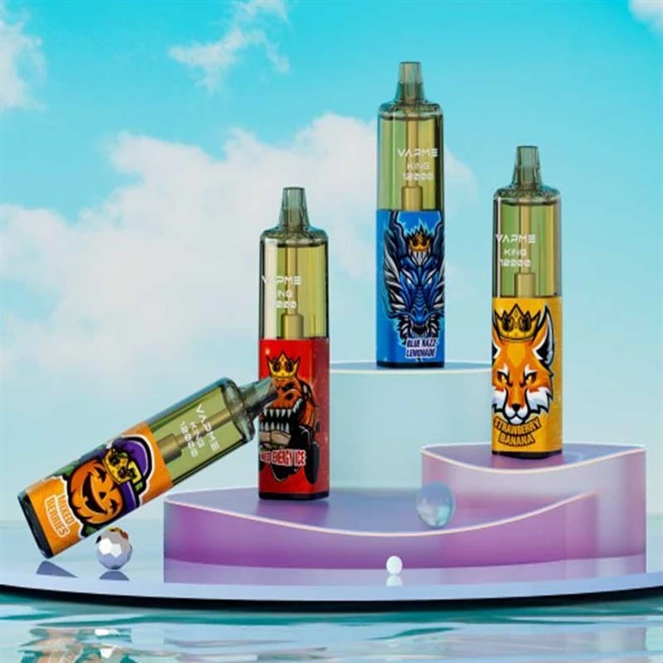 VAPME KING 12000