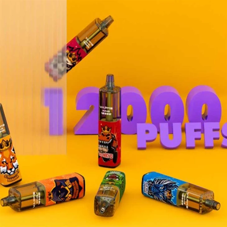 VAPME KING 12000
