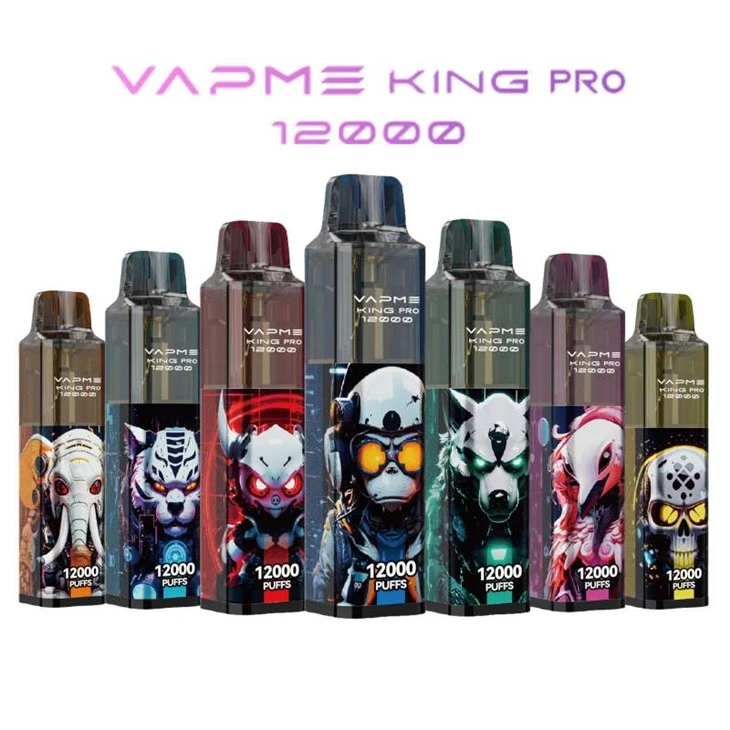 VAPME Raja Pro 12000