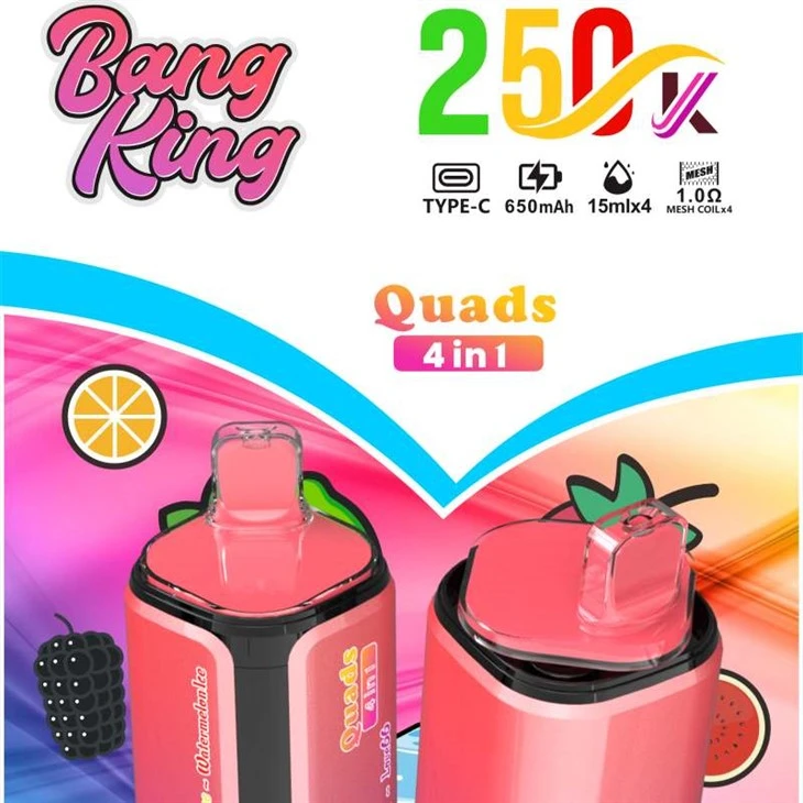 BANG RAJA Paha Depan 250K 4in1