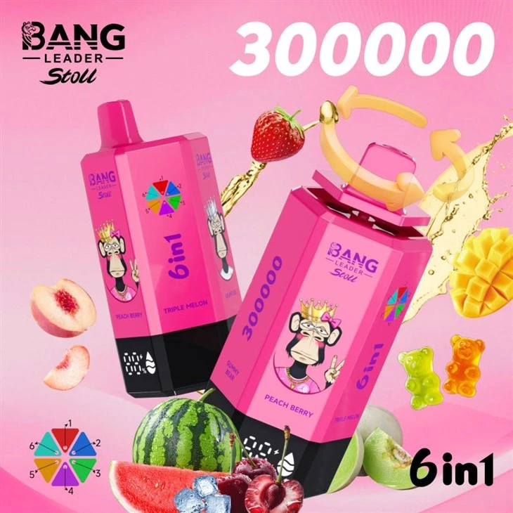 BANG LEADER 300K Puff VAPE