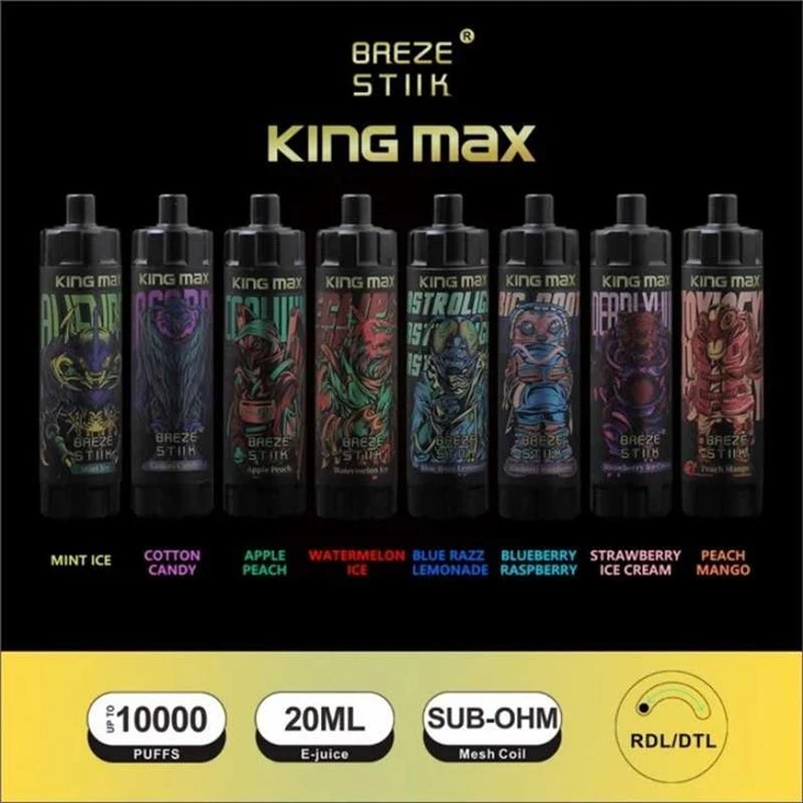 Breze Stiik King Maks 10000 Puff