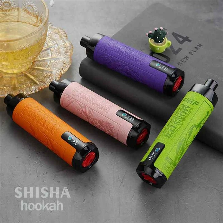 Shisha Hookah FIHP 12K