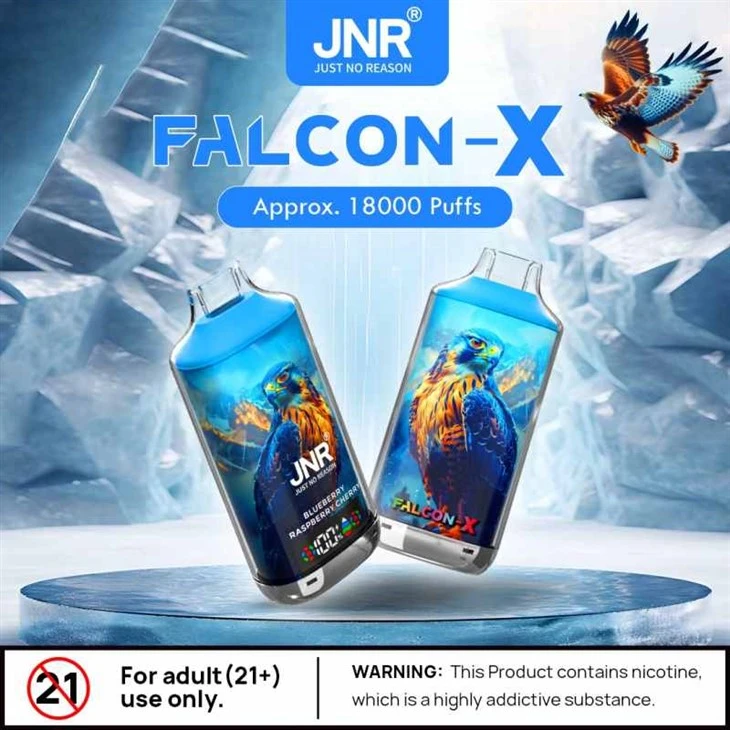 JNR Falcon X18000 adalah pesawat tempur yang dirancang untuk pertempuran udara dan udara.