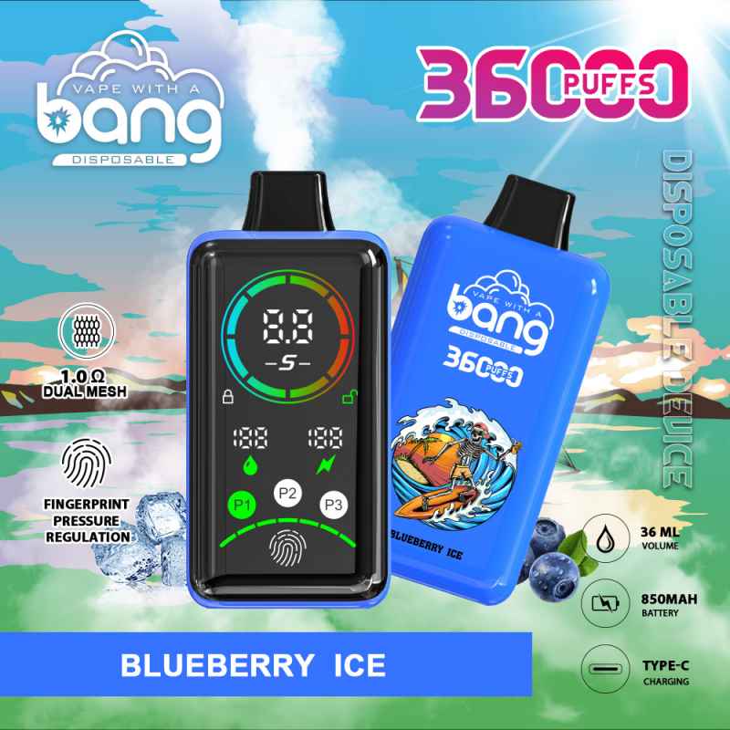 -Blueberry--icebang 36K