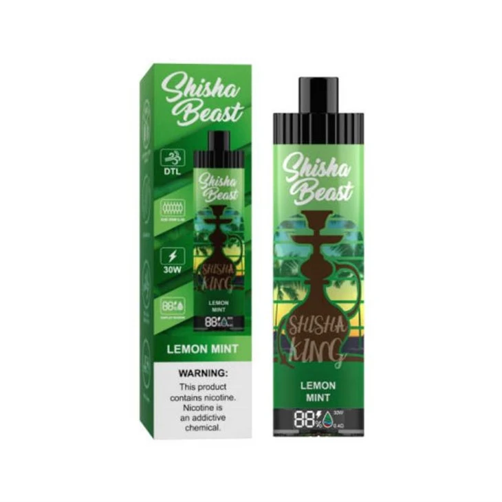 R&M ShiSha Beast 20.000 Puff