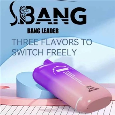 Bang Leader 80000 Puffs Three Flavours