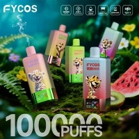 FYCOS 4 DI 1 100K