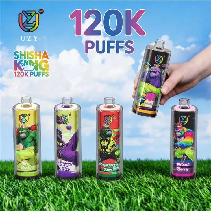 UZY SHISHA HOOKAH RAJA 120K