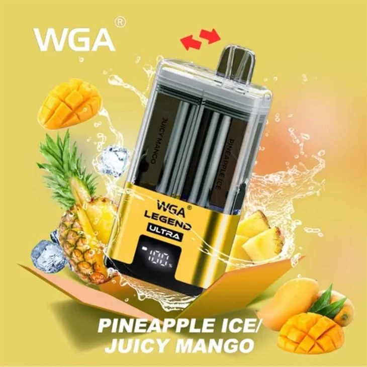 Legenda WGA Ultra 30000
